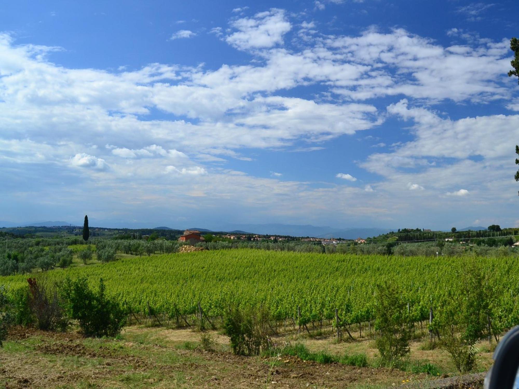 Lovely Holiday Home In Montefiridolfi With Hill View Exteriér fotografie