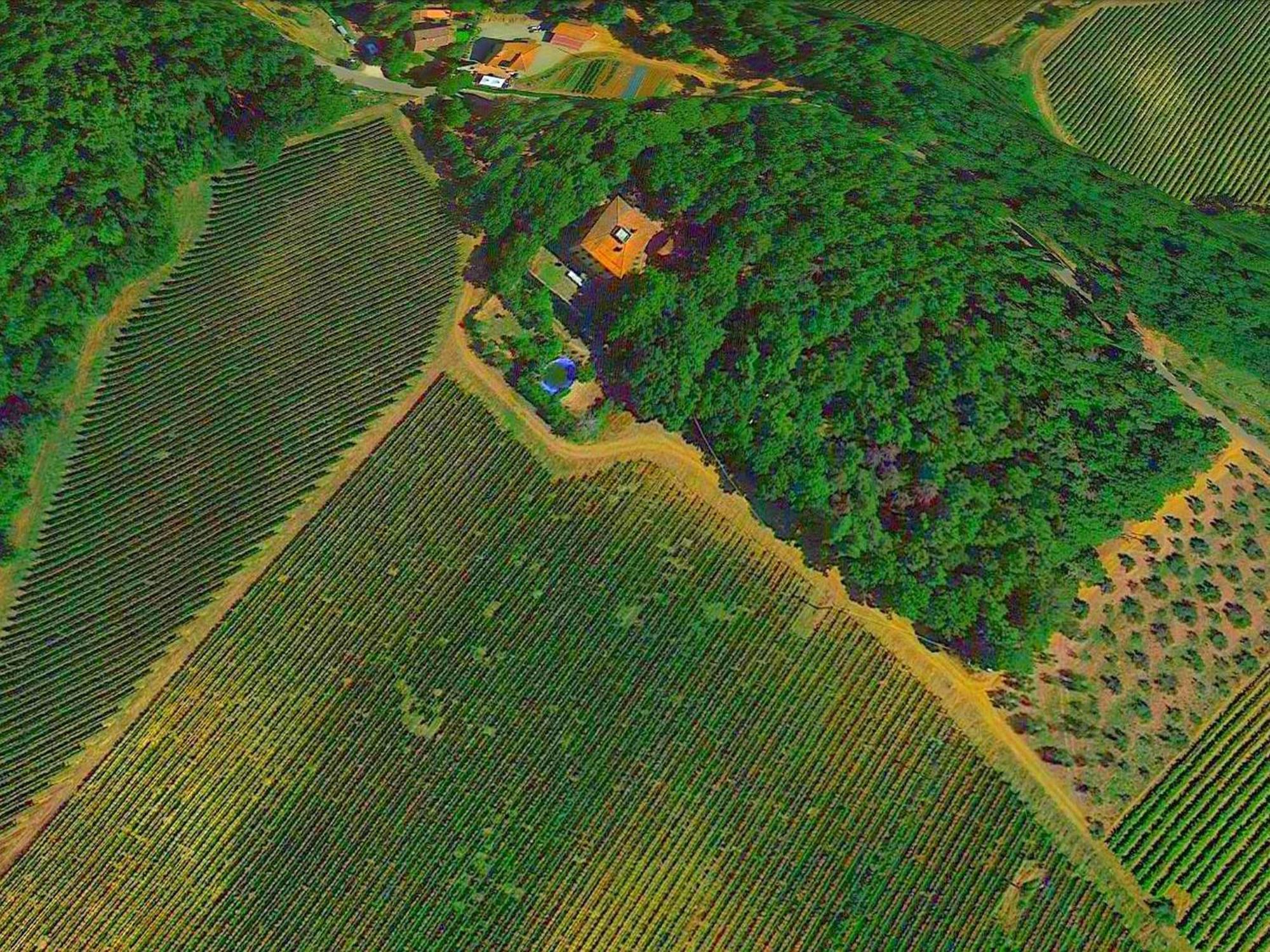 Lovely Holiday Home In Montefiridolfi With Hill View Exteriér fotografie